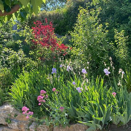 Вілла Le Jardin De Lau Обіньян Екстер'єр фото