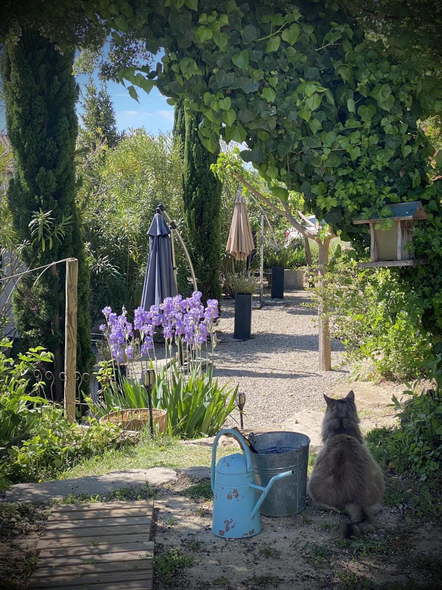 Вілла Le Jardin De Lau Обіньян Екстер'єр фото